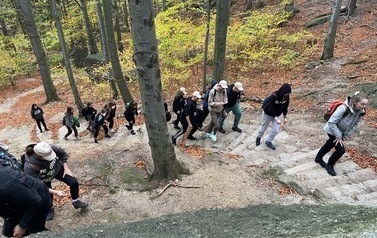 WYCIECZKA W G&Oacute;RY KLASY IV AB I II D 43