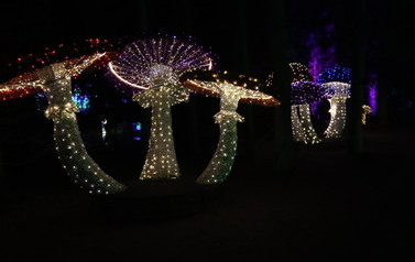 INTEGRACJA KLASY 1B 7