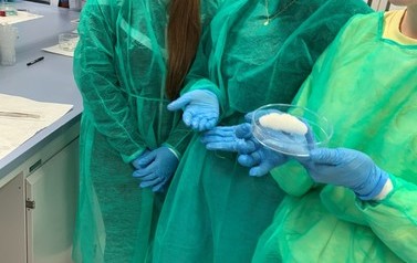 ZAJĘCIA LABORATORYJNA NA WTiICH ZUT SZCZECIN 1