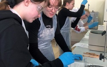 ZAJĘCIA LABORATORYJNA NA WTiICH ZUT SZCZECIN 80
