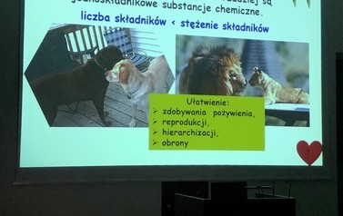 ZAJĘCIA LABORATORYJNA NA WTiICH ZUT SZCZECIN 86