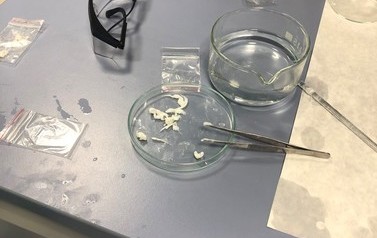 ZAJĘCIA LABORATORYJNA NA WTiICH ZUT SZCZECIN 91