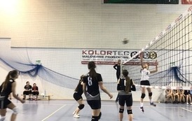 MISTRZOSTWA POWIATU W PIŁCE SIATKOWEJ - XXIII LICEALIADA 20
