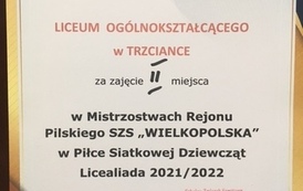 MISTRZOSTWA REJONU W SIATK&Oacute;WKĘ 29