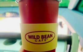 II B W KARKONOSZACH 43