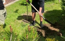 NIESPODZIANKA OD ABSOLWENT&Oacute;W 2024 2