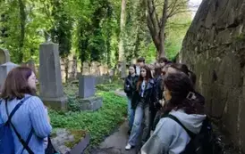 WYCIECZKA 3D DO AUSCHWITZ, KRAKOWA I ENERGYLANDII 23