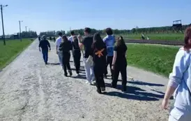 WYCIECZKA 3D DO AUSCHWITZ, KRAKOWA I ENERGYLANDII 28