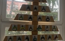 NASTR&Oacute;JMY SIĘ NA ŚWIĘTA  12