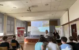 O PROJEKCIE "UPROOTED ..." JESZCZE RAZ 4