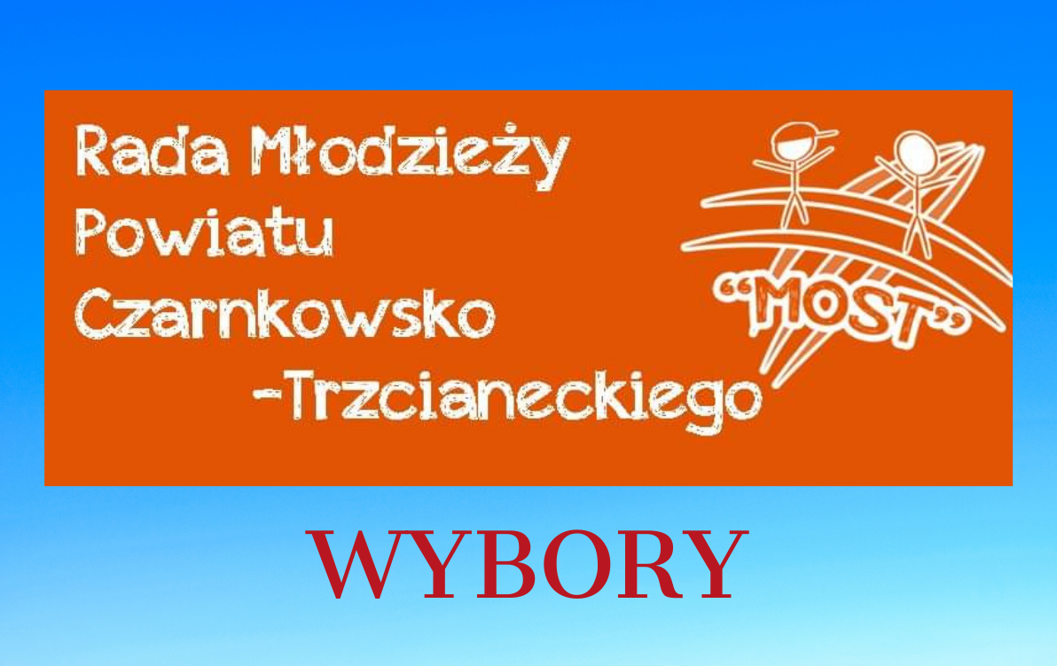 Rada Młodzieży - wybory